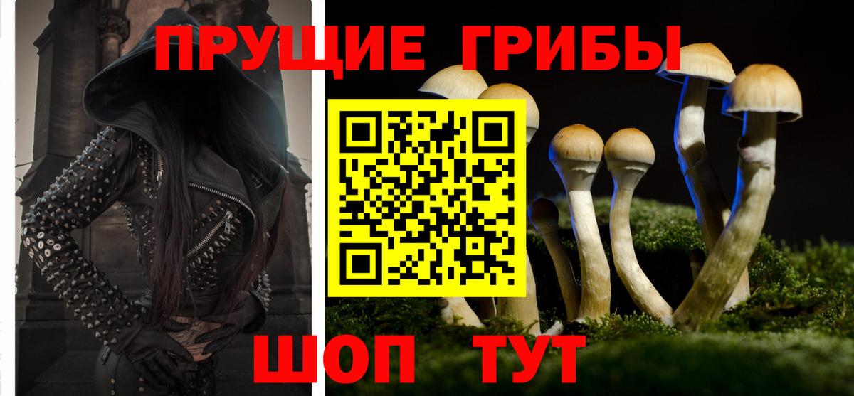 Воркута  Галлюциногенные грибы мицелий  Вход с VPN  Псилоцибиновые грибы мухоморы 