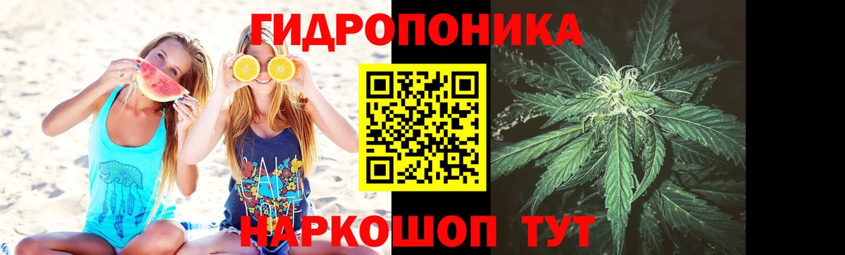 Каннабис сатива  Вход с VPN  Шишки марихуана марихуана  Каннабис Amnesia  Конопля LSD WEED  Воркута 
